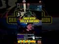 Whats Better Skills Or Companion Division 2