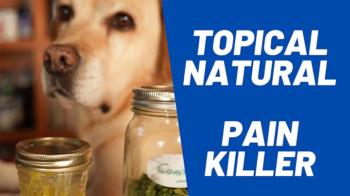 Backyard Painkiller: How to Make a Comfrey Salve