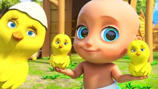 Os pintinhos fazem Piu Piu Piu 🐥  Músicas Infantis com LooLoo Kids em Português