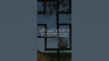 الآية ٦ من سورة يُونُسَ بصوت القارئ عبدالرحمن مسعد