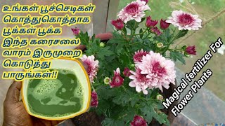 'Powerful Fertilizer' To Make the Flower Plant Bloom More Flowers in a Week/Guava leaf healthy Tea