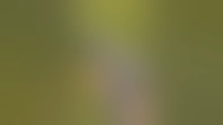 1 OF NONE ALL METAL FRT GLOCK TRIGGER‼️