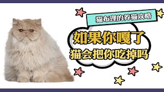 如果你嘎了猫会把你吃掉吗