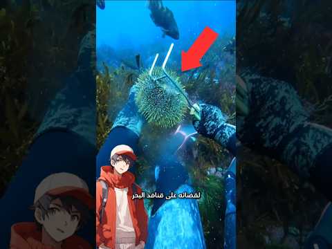لماذا يجمع هذا الرجل يجمع قنافذ البحر
