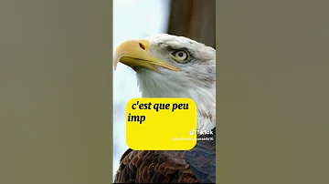 21 Juillet 2025 