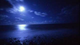 Moonlight Shadow -  Dana Winner