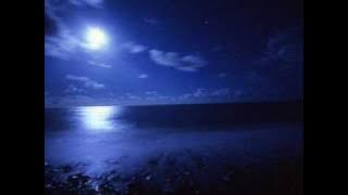 Moonlight Shadow -  Dana Winner