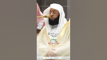 قل إني لا أملك لكم ضرا ولا رشدا_سورة الجن_صلاة الفجر 8 جمادى الآخرة 1446هـ_الشيخ  بدر التركي_#quran