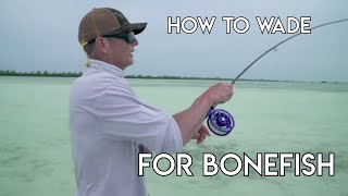 How To Wade Fish For Bonefish