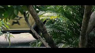 Modifikasi mobil Fj40 softtop screenshot 1