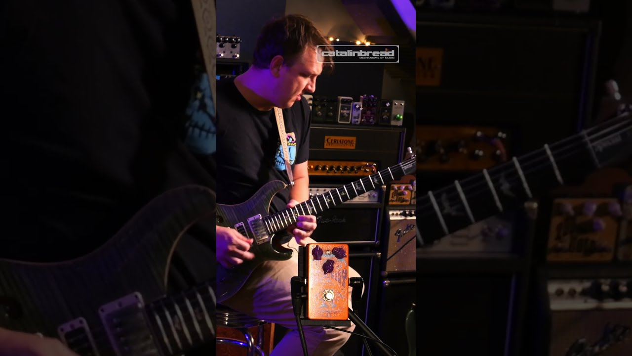 ギター Catalinbread Octapussy octafuzz Catalinbread Octopussy Fuzz – Motor City Guitar