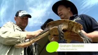 Fish Circus Avenel 2015