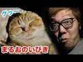 まるおのいびきがプゥプゥ言っててかわいすぎる…【まるお&もふこ】