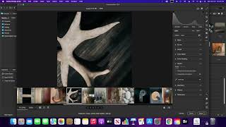 Alphabet Contact Sheet tutorial