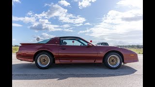 1989 Pontiac Firebird Trans Am GTA Walk-around Video