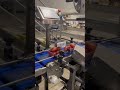 🟣 Thinking on how to automate the packaging for plums? | ¿Pensando en automatizar el envasado?