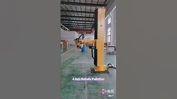 Hot sale robotic palletizer