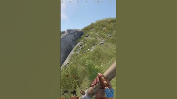 I have never seen this in my 3,000 hours of Rust #rust #rustfunny