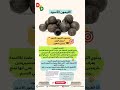 فوائد الليمون الأسود للرجيم ونزول الوزن الليمون إنقاص الوزن رجيم صحي