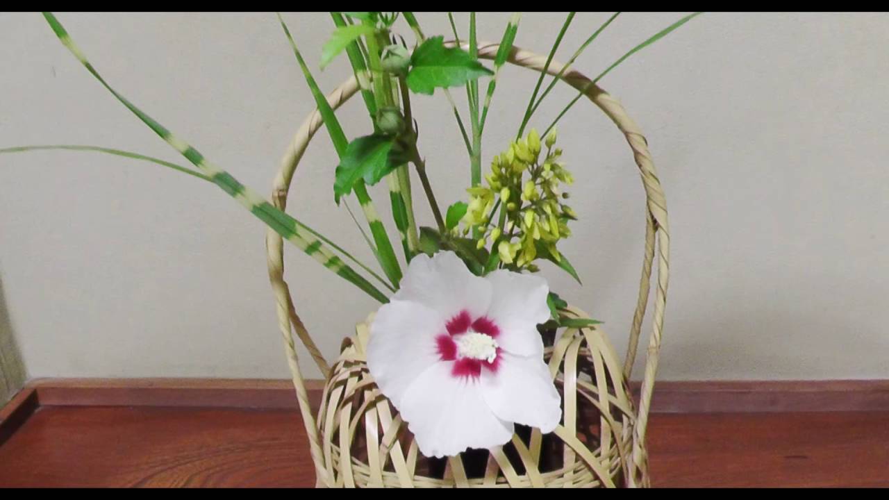 ６月の茶花 籠に活ける Youtube