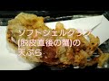 【バリバリ食べる】ソフトシェルクラブ天ぷら