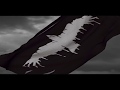Miniature de la vidéo de la chanson Wave No Flag