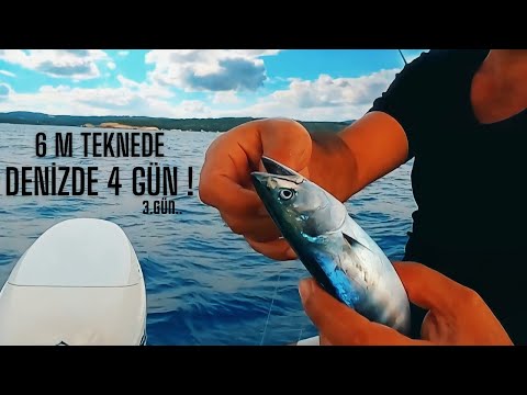 Teknede 4 Gün