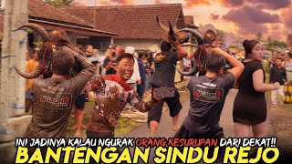 Kesurupan Paling Horor Di Lereng Semeru Bantengan Mberot Sindu Rejo Kalap Demit Kali Dawuhan
