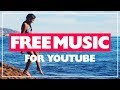 Ukulele Hakuna Matata - Alvaro Angeloro I No Copyright Music