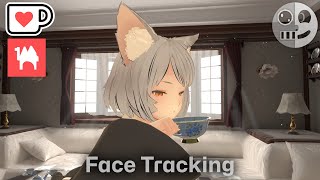 Udone Kittens - Face Tracking Add On