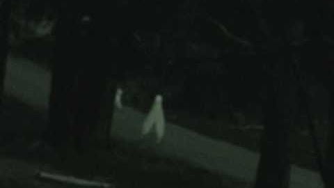 Strange Alien Stick like creatures caught on security camera above Fresno in Yosemite National Park