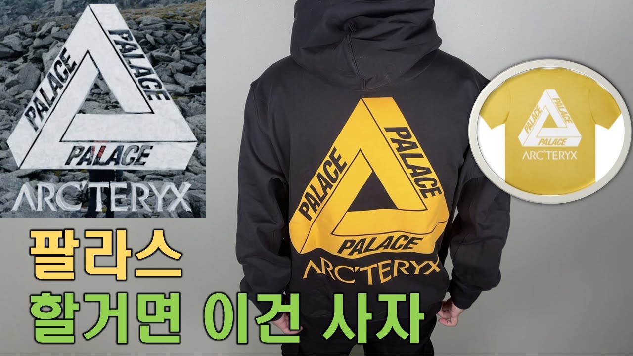 Back Is Crazy!!! [Palace X Arc'teryx Hoodie & T-shirt Review