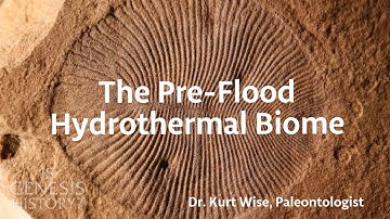 What was the World Like Before the Flood? - Dr. Kurt Wise (Conf Lecture)