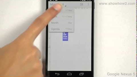 Google Nexus 5 - Day View In Calendar