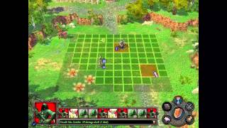 видео Heroes of Might and Magic 5