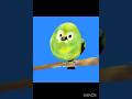 bird drawing series part 2