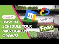 How to schedule your microgreen grows