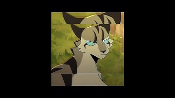 Circus #cats #warriorcats #edit #warriorcatsedit #warriors #ivypool #editing