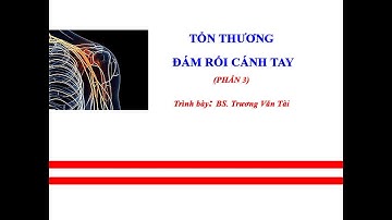 Tổn thương đám rối cánh tay ( phần 3)