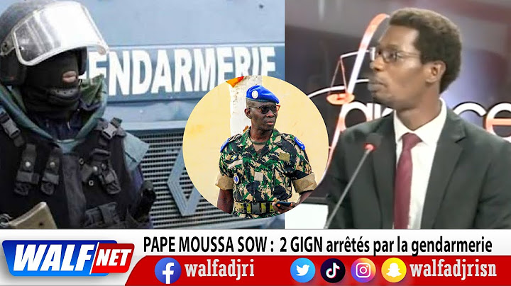 2 GIGN arrêtés par la gendarmerie : Les révélations de Pape Moussa Sow