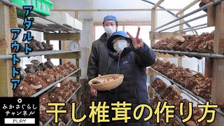 【田舎暮らし】三笠市内のきのこや粒針さんに干し椎茸の作り方を教えて貰った。そのままでも美味しいしいたけですが、乾燥野菜にして保存して、冬に備えましょ。