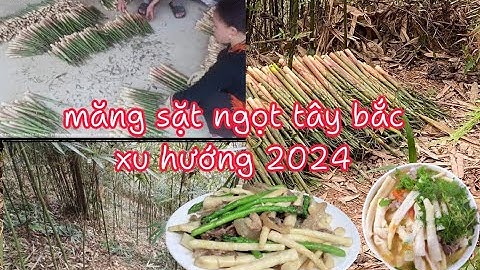 Hướng dẫn cách trồng dâu tây