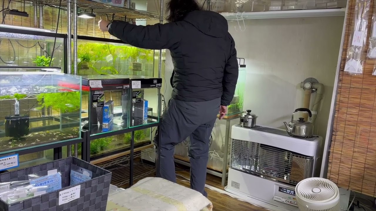 【ローキーズ札幌周年祭４日目の様子】＃ローキーズ札幌＃周年祭＃北海道でレッドビーと言えばローキーズ札幌＃えび掬い＃19周年祭