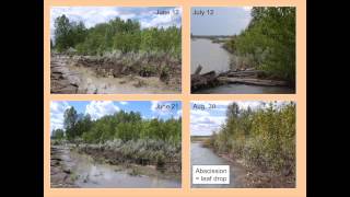The 2012 Red Deer River Oil Spill: Analyzing Impacts in the Floodplain Zone