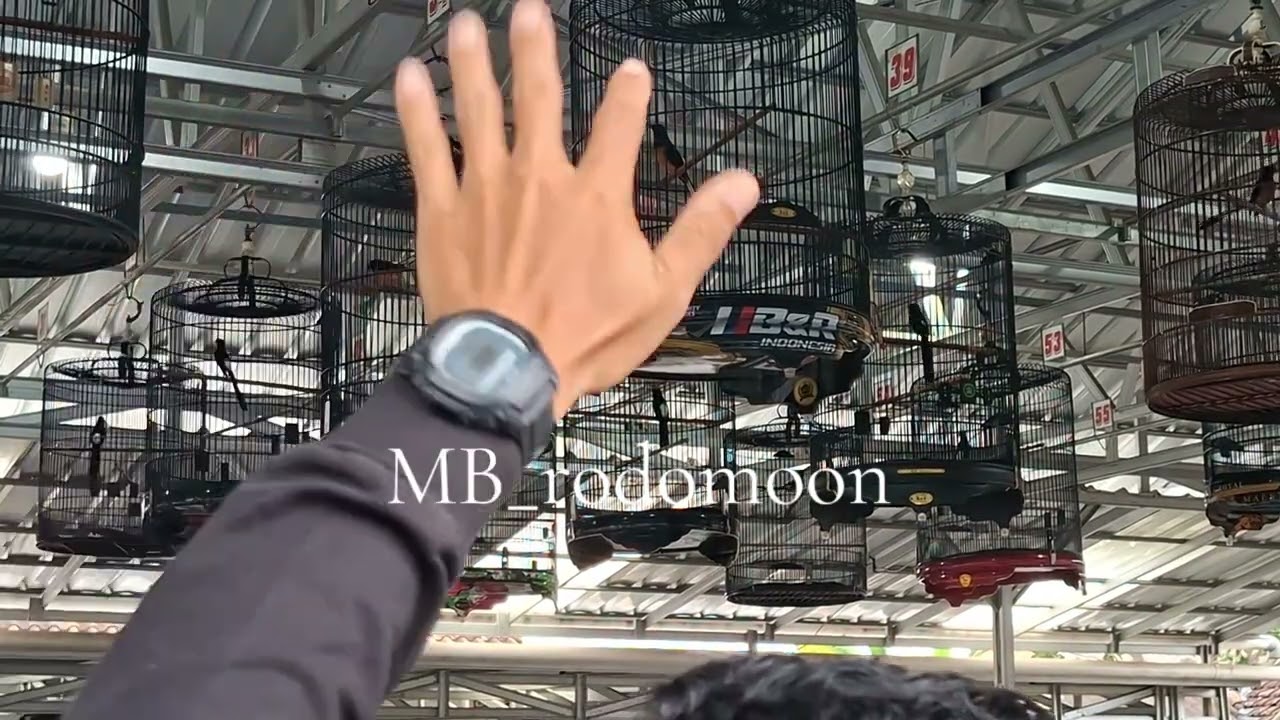 RODOMOON MAIN KE KOTA