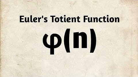 An introduction to Euler