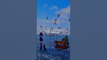 وَإِذَا سَأَلَكَ عِبَادِي عَنِّي|سورة البقرة~الآية186~القارئ #اسلام_صبحي  ~🎧🤍