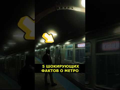 5 ШОКИРУЮЩИХ ФАКТОВ О МЕТРО, о которых вы не догадывались! #wowfacts #Метро #Секреты #Города #Факты