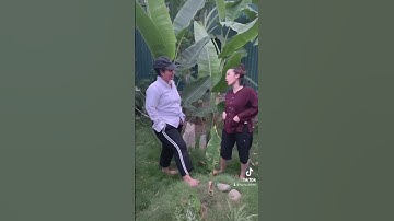 chuyện tình tiền án tiền sự