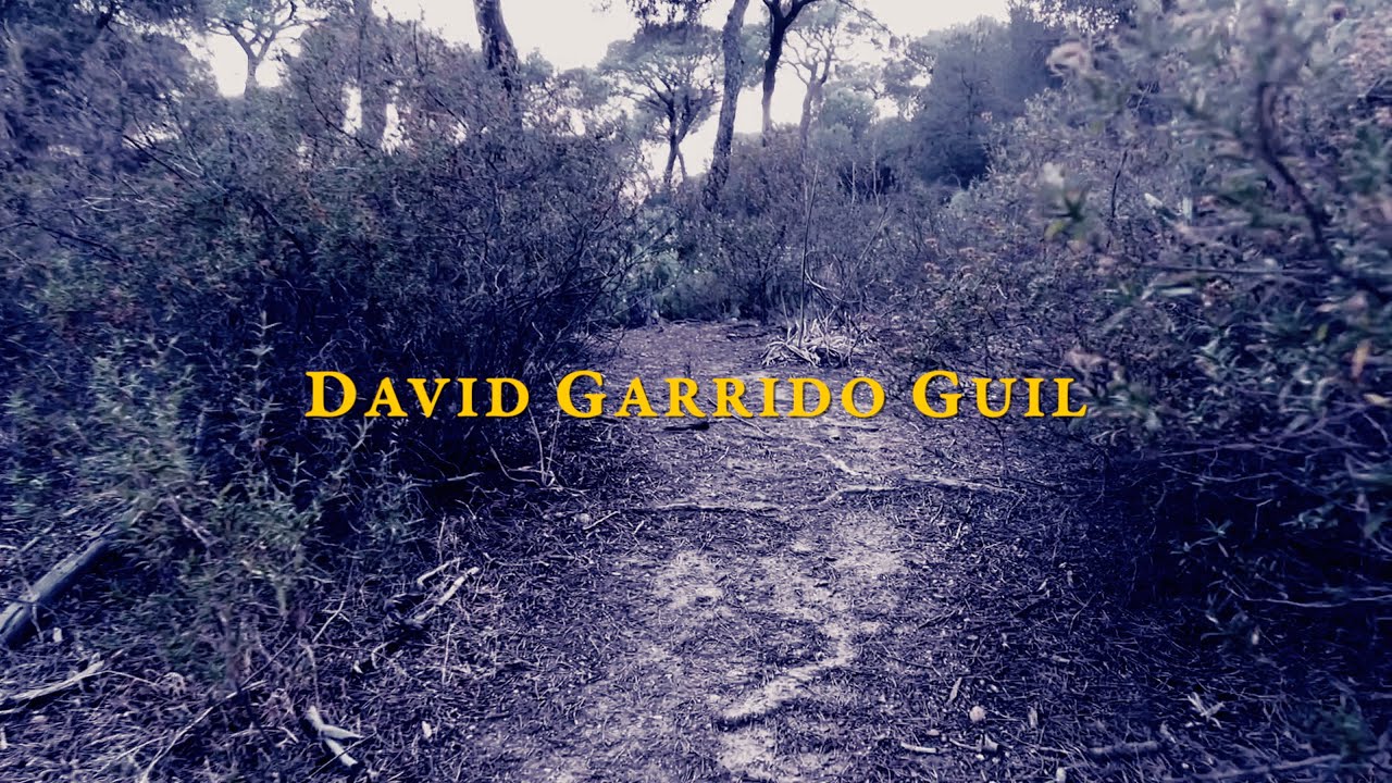David Garrido Guil - Careto